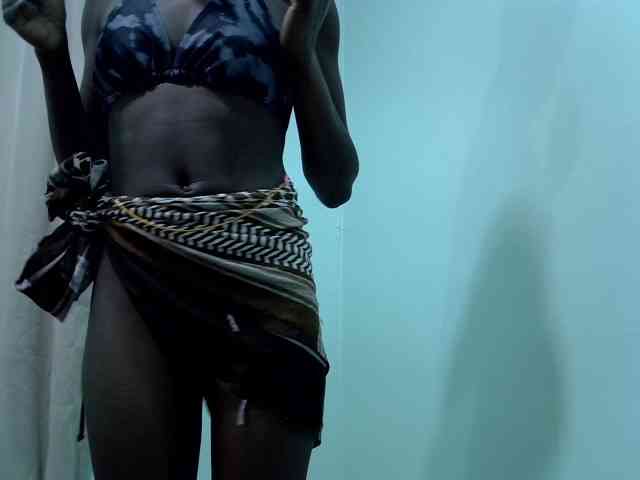 Slim-sheddy webcam