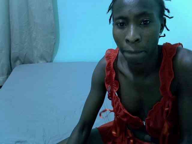 Slim-sheddy webcam