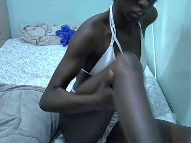 Slim-sheddy webcam
