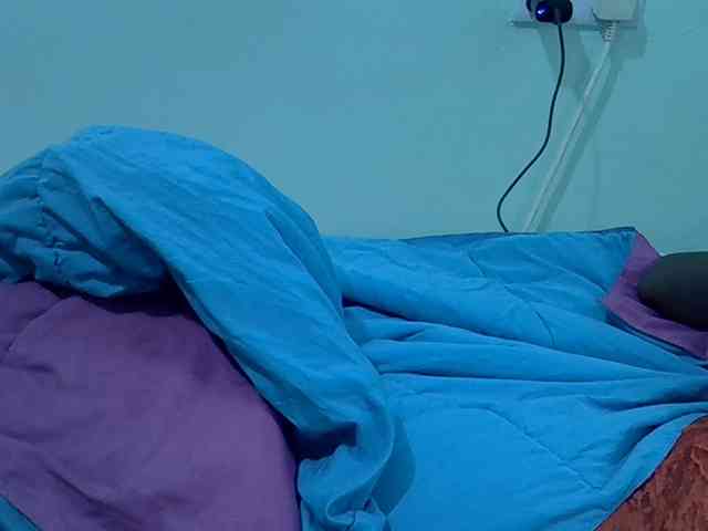 Slim-sheddy webcam