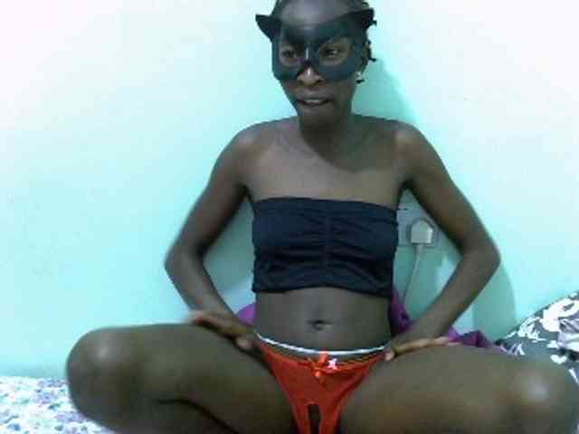 Slim-sheddy webcam