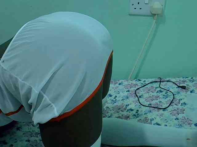 Slim-sheddy webcam