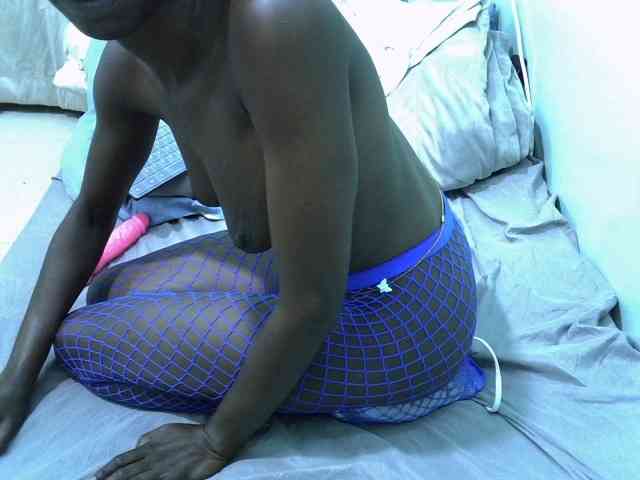 Slim-sheddy webcam