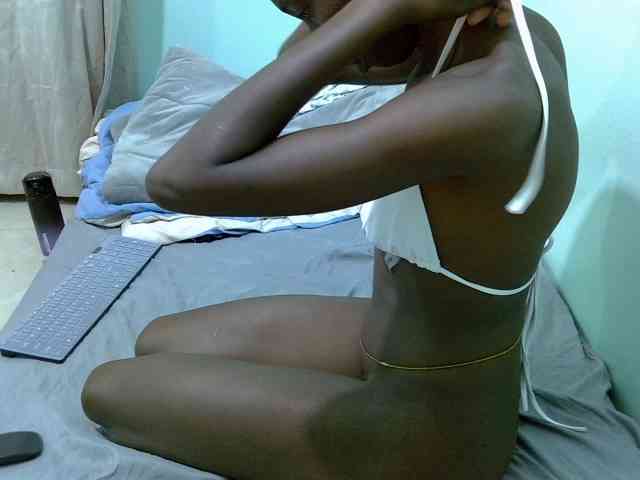 Slim-sheddy webcam