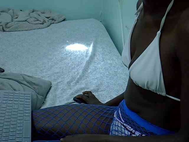 Slim-sheddy webcam