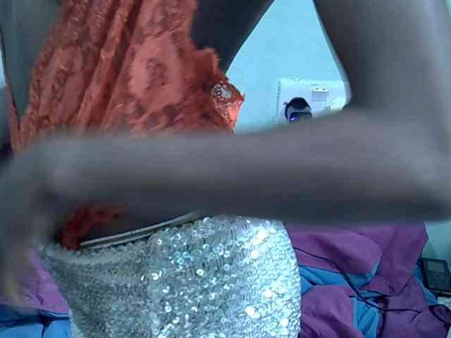 Slim-sheddy webcam