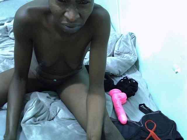 Slim-sheddy webcam