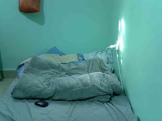 Slim-sheddy webcam