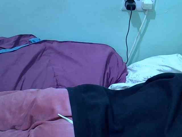 Slim-sheddy webcam