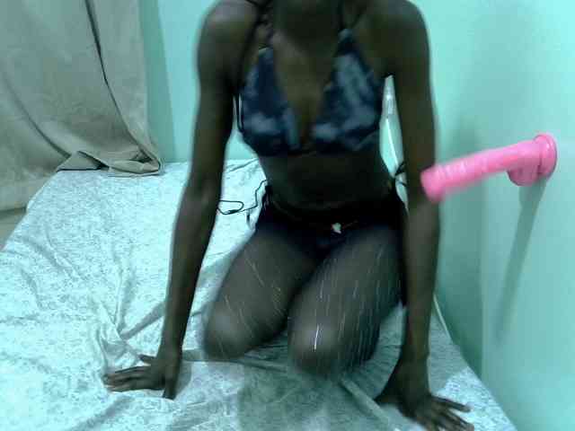 Slim-sheddy webcam