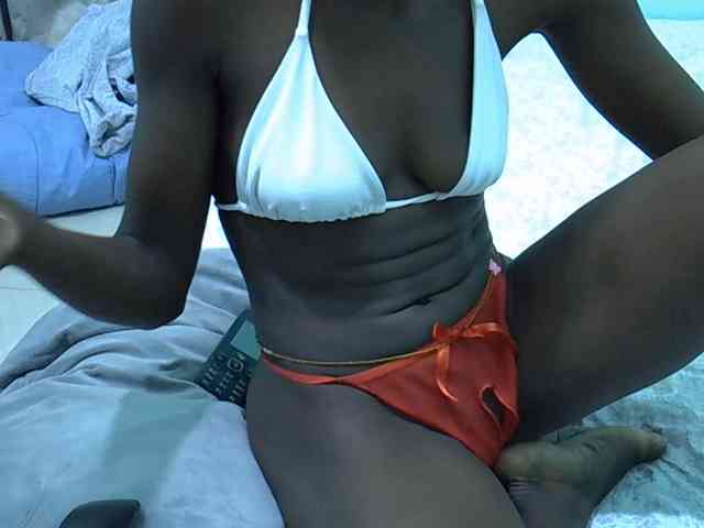Slim-sheddy webcam