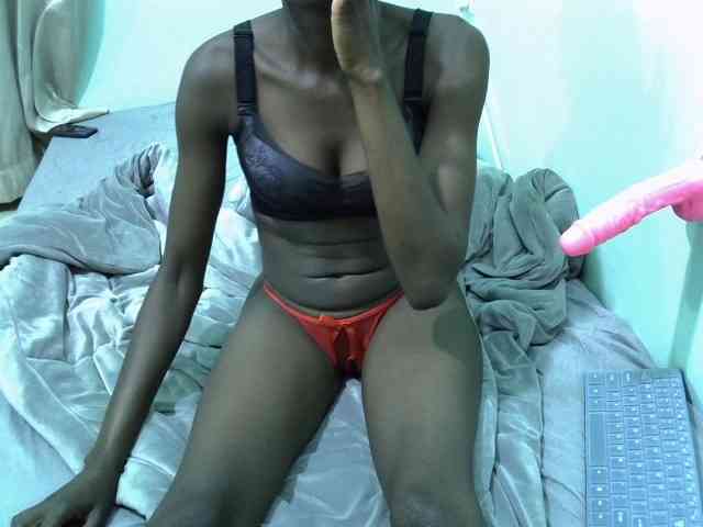 Slim-sheddy webcam