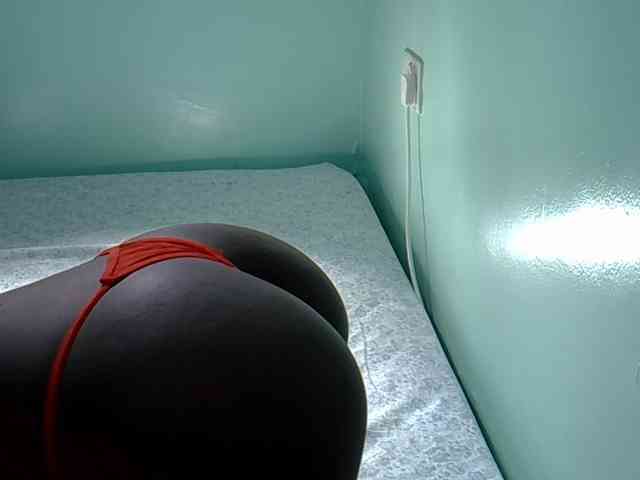 Slim-sheddy webcam