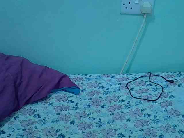 Slim-sheddy webcam