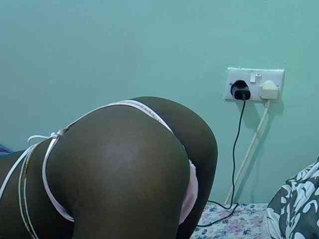 Slim-sheddy webcam
