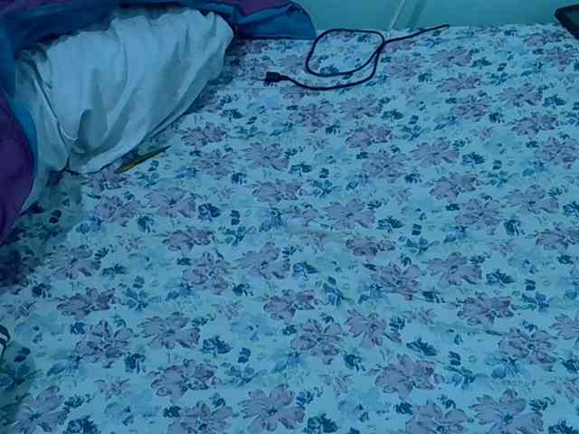 Slim-sheddy webcam