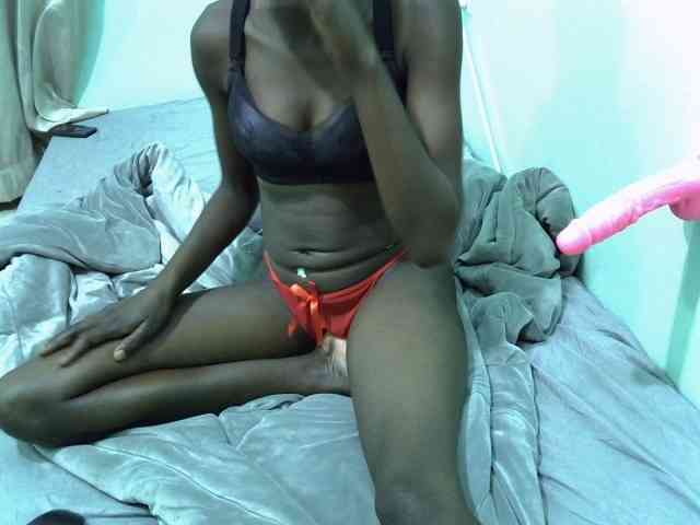 Slim-sheddy webcam