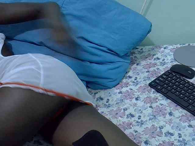 Slim-sheddy webcam