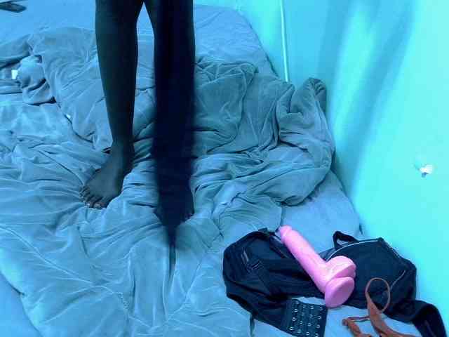Slim-sheddy webcam