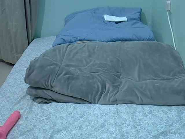 Slim-sheddy webcam
