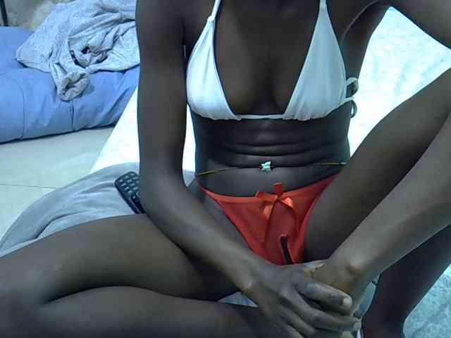 Slim-sheddy webcam