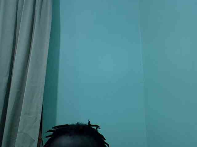 Slim-sheddy webcam