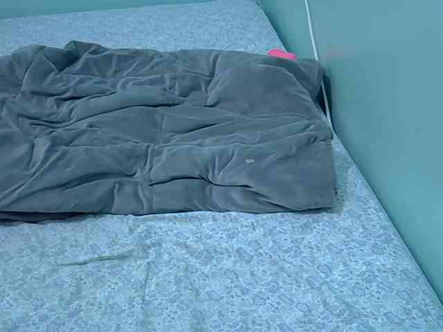 Slim-sheddy webcam