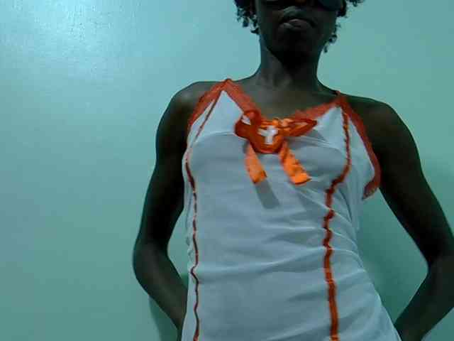 Slim-sheddy webcam