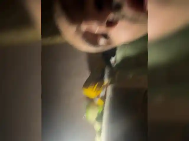 Eskkimo