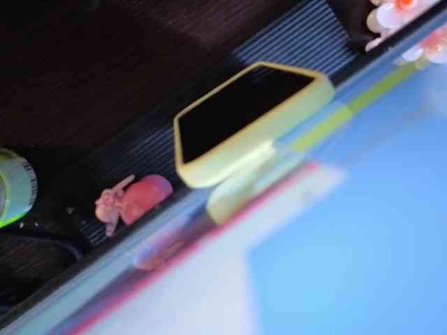 kathyaspinelli webcam