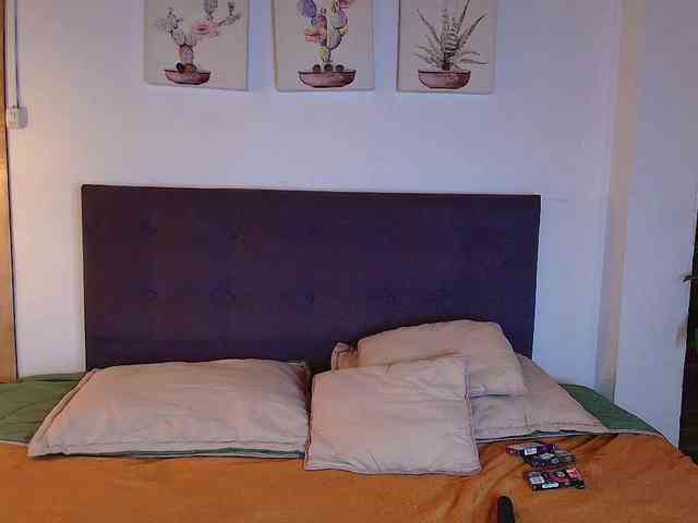 kathyaspinelli webcam