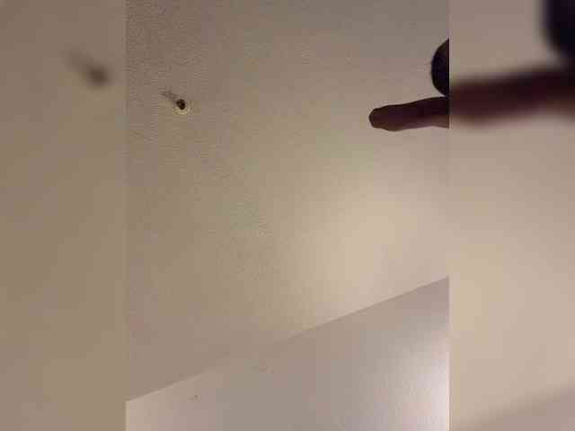 LeviSliim webcam