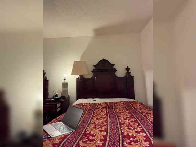 LeviSliim webcam