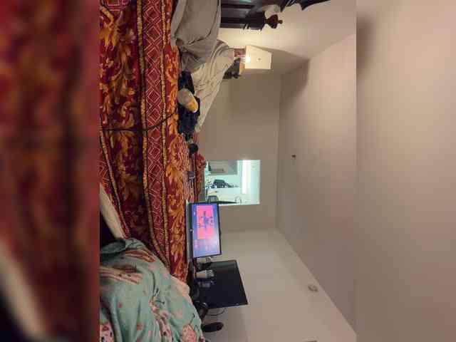 LeviSliim webcam