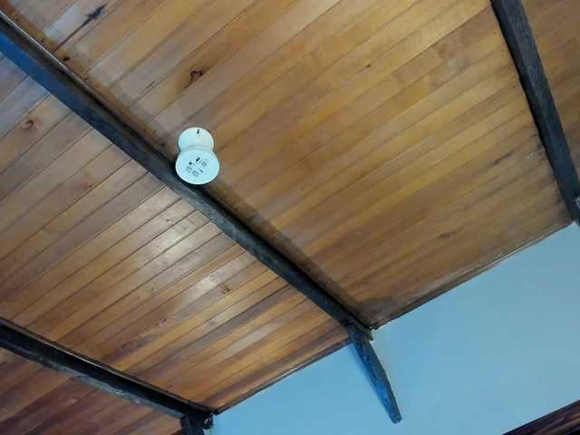 EmiliWilliams live cam on BongaCams