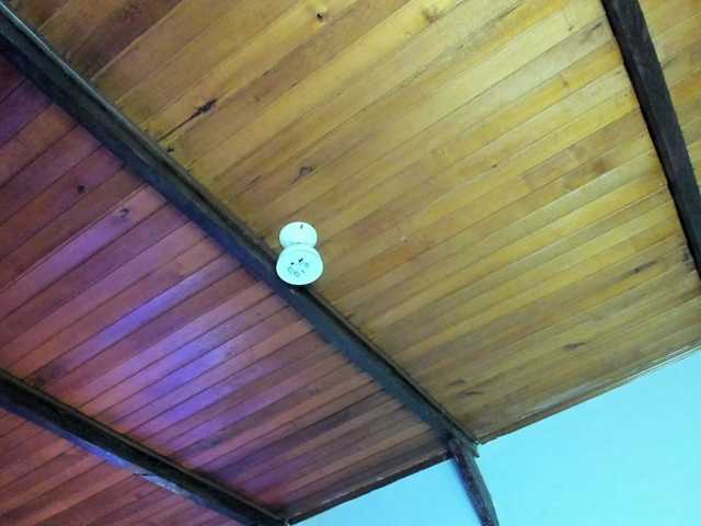 EmiliWilliams live cam on BongaCams