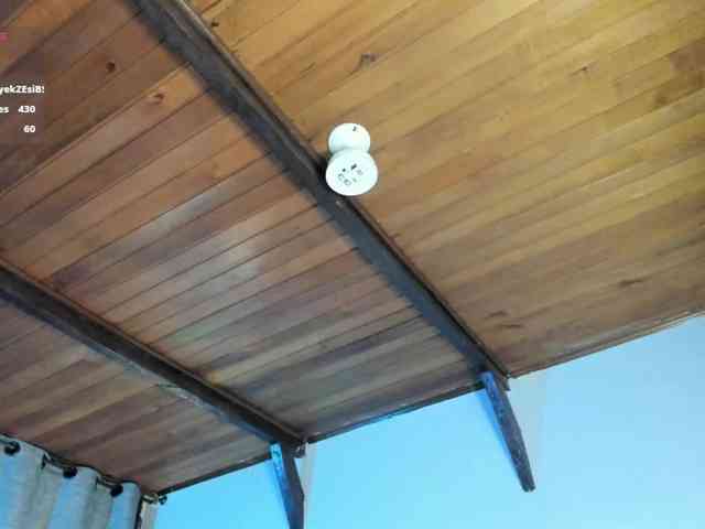 EmiliWilliams webcam