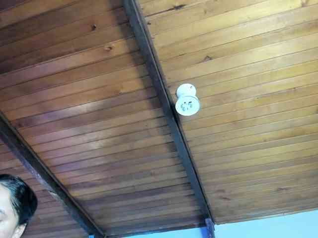 EmiliWilliams webcam