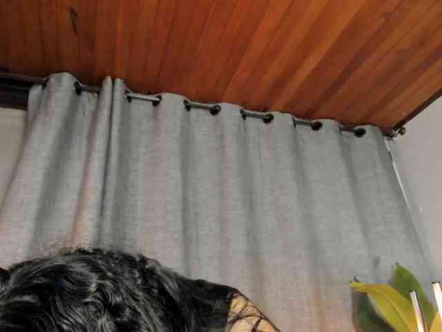 EmiliWilliams webcam