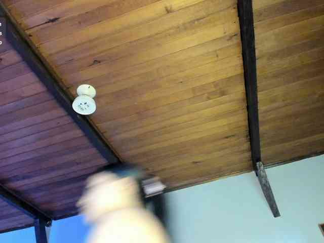 EmiliWilliams