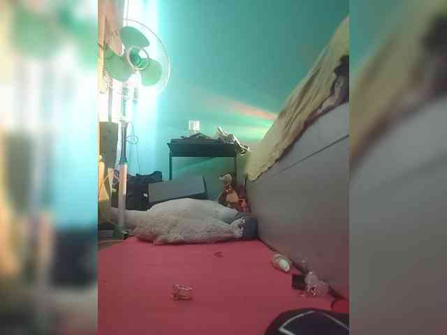 ivvikkilove1994 webcam