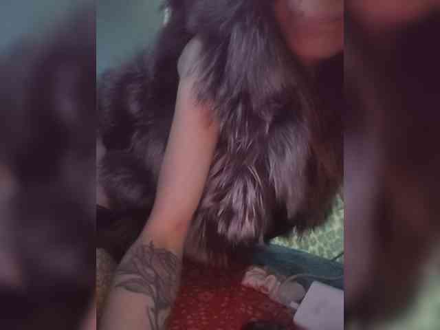 ivvikkilove1994
