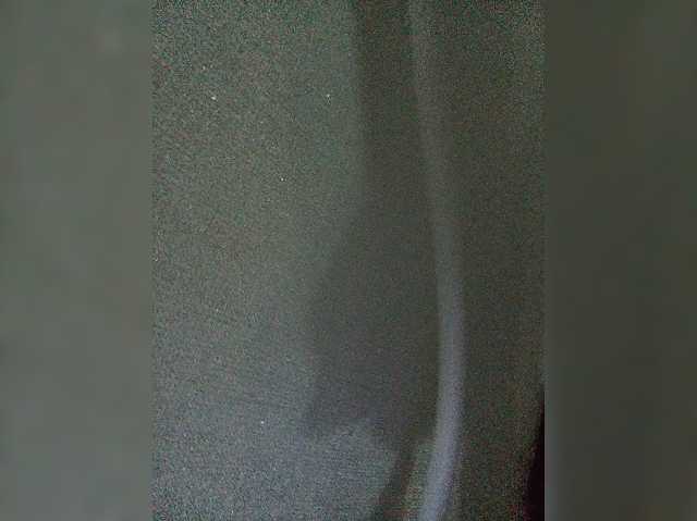 Sofia333123