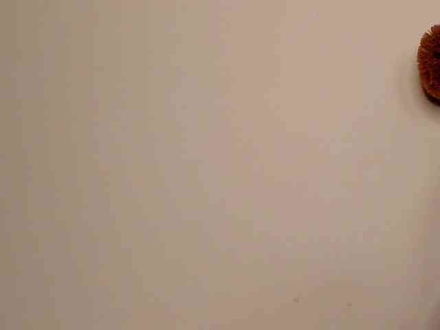 BellaStylezz webcam