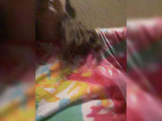 ChubbyBae webcam