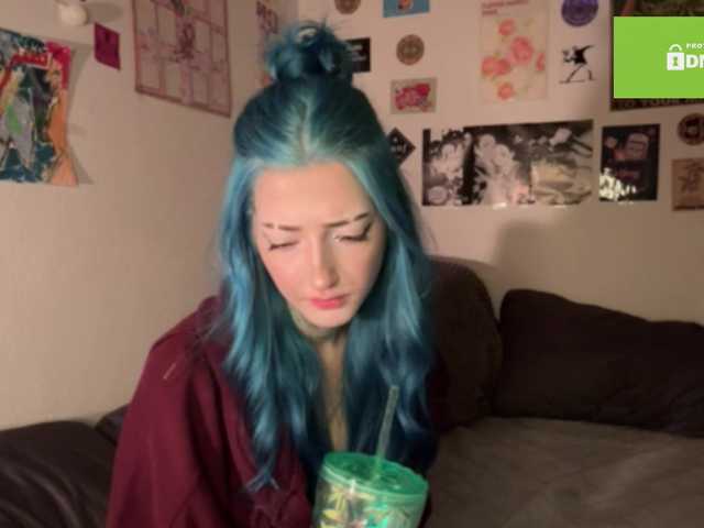 karolinawild