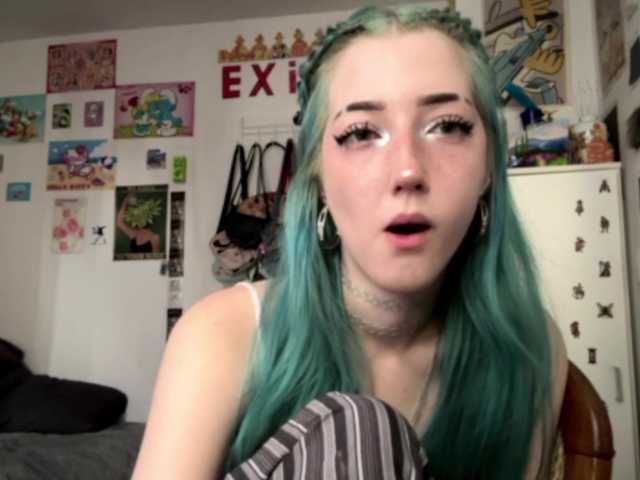 karolinawild online