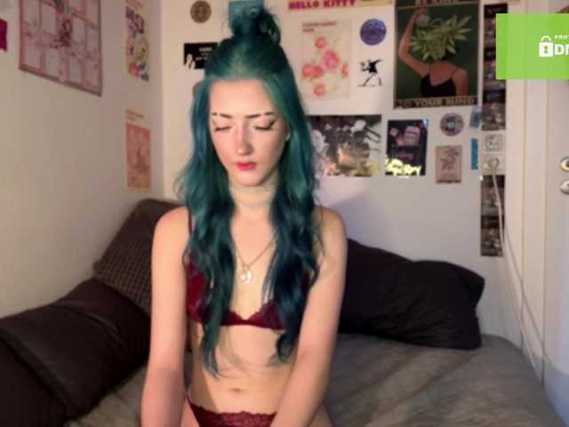 karolinawild