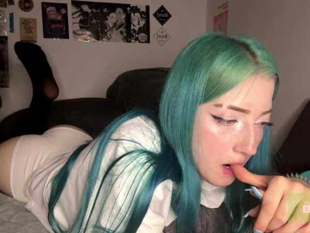 karolinawild