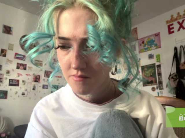 karolinawild